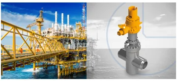 Through Conduit Gate Valves